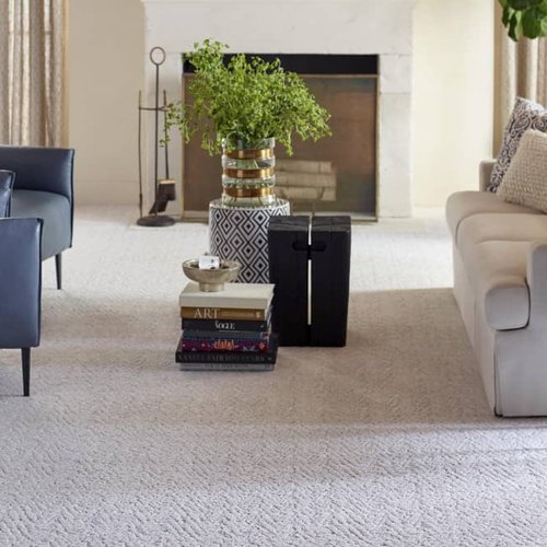 Living Room Pattern Carpet - CarpetsPlus of NWA in Springdale, AR