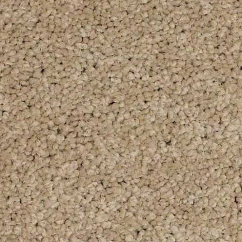 In-stock nylon carpet from CarpetsPlus NWA in Springdale, AR