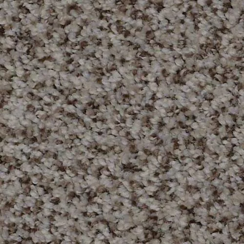 In-stock polyester carpet from {{ name }} in {{ location }}
