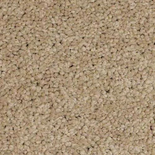 In-stock nylon carpet from {{ name }} in {{ location }}
